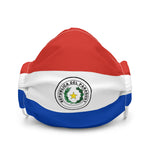 Paraguay Premium face mask