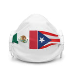 MexiRican Premium face mask