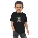 Born in Mexico Toddler jersey t-shirt